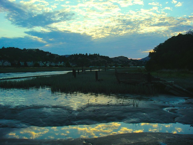 Free Water Low Tide photo and picture