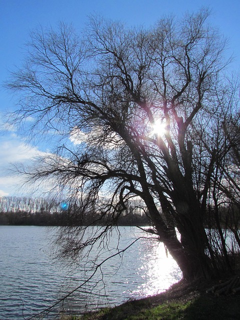 Free Lake Nature photo and picture