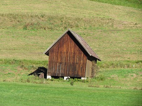 Free Hut Meadow photo and picture