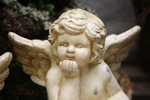 Free Angel Harmony photo and picture