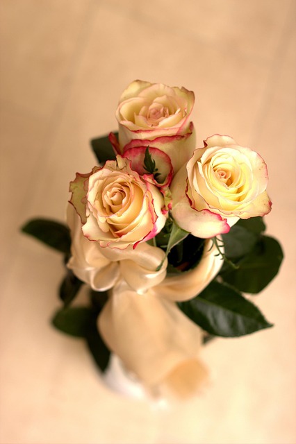 Rose, Flor, Pétalas, Buquê