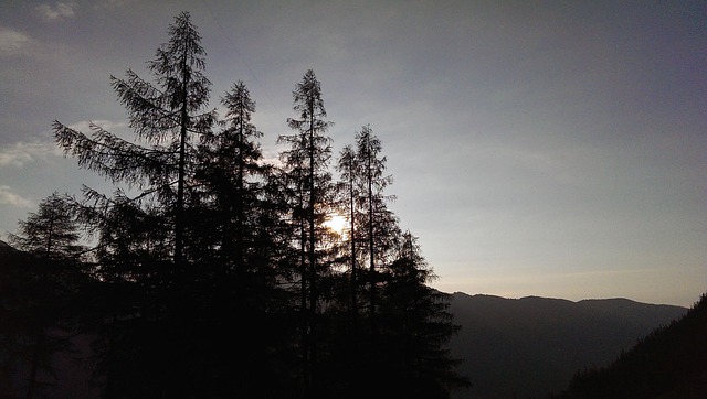 Free Nature Light photo and picture