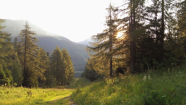 Free Nature Austria photo and picture