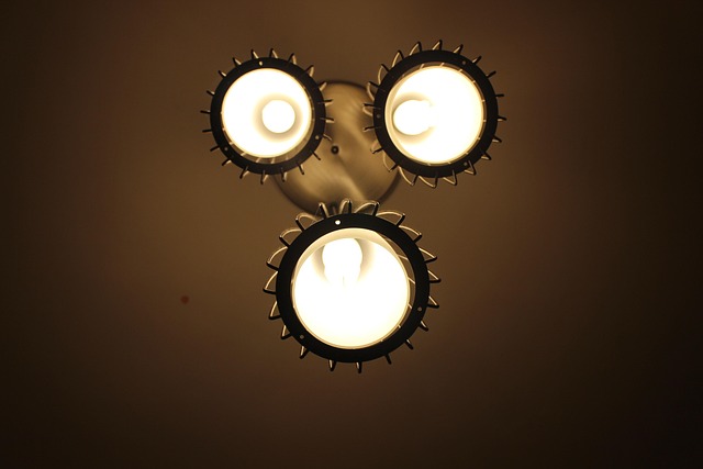 Free Lights Shadow photo and picture