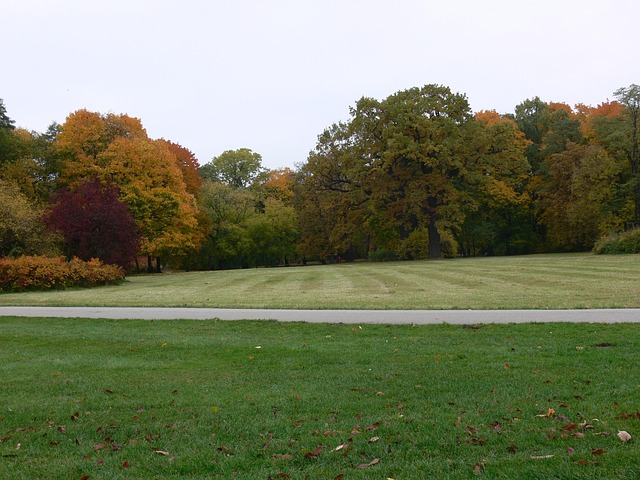 Free Autumn Yard photo and picture