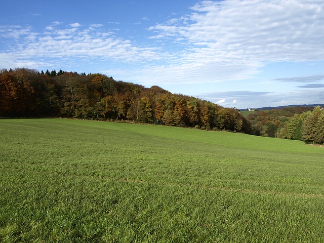 Free Autumn Day Shine photo and picture