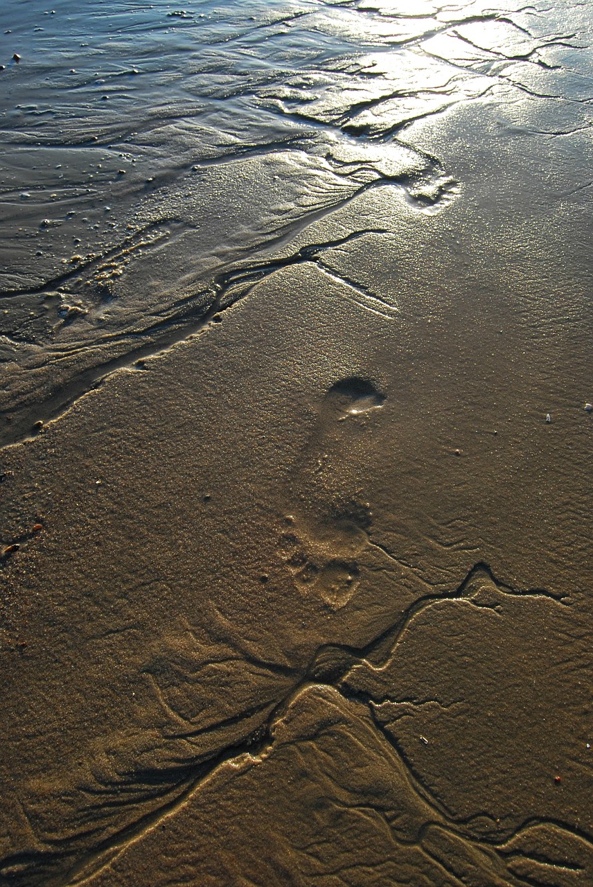 Sand, Strand, Sommer, Elbe, Reflektion