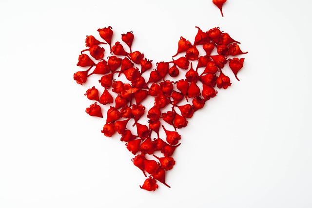 Röd Blomma Blommor - Gratis foto på Pixabay - Pixabay