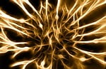 nerves, cells, dendrites sepia