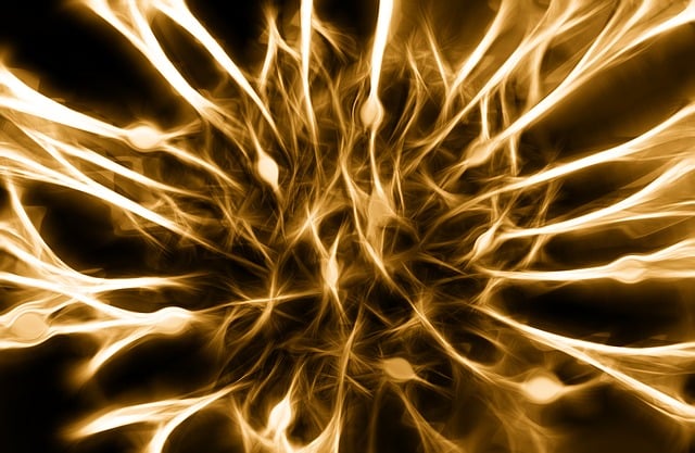 Free annoy cells dendrites sepia illustration