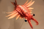 anomalocaris, prehistoric, animals