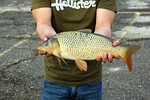fishing, catch, holding
