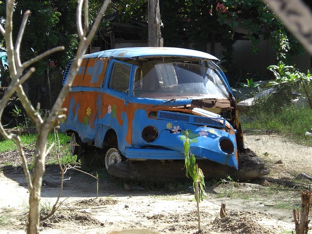 Free Vw Bus Volkswagen photo and picture