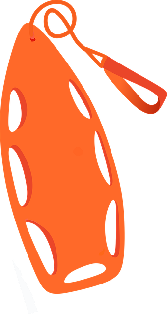 Free lifeguard rescue patrol vector