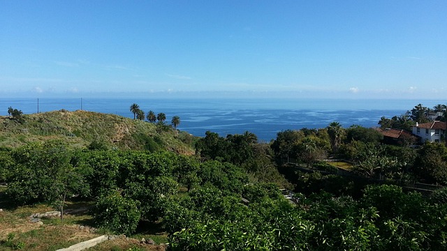 Free Tenerife Nature photo and picture