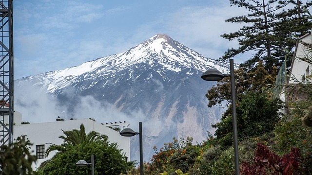 Free Tenerife Nature photo and picture