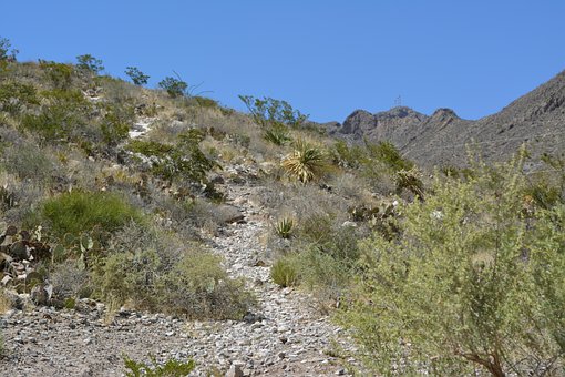 Free Landscape Desert photo and picture