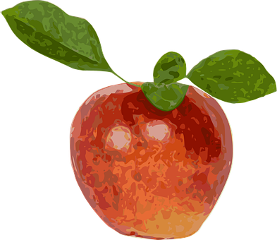 Free Red Apple Fruit vector and picture