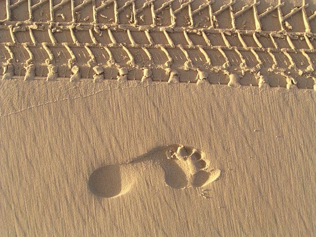300+ kostenlose Fußspuren Im Sand und Fußspuren-Bilder - Pixabay