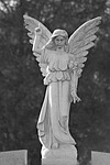 angel, holy, wing