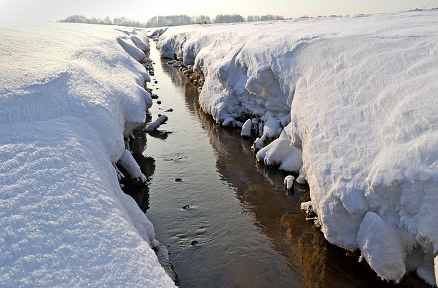 Free Winter Snow photo and picture