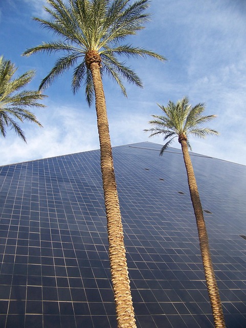 Free Las Vegas Usa photo and picture