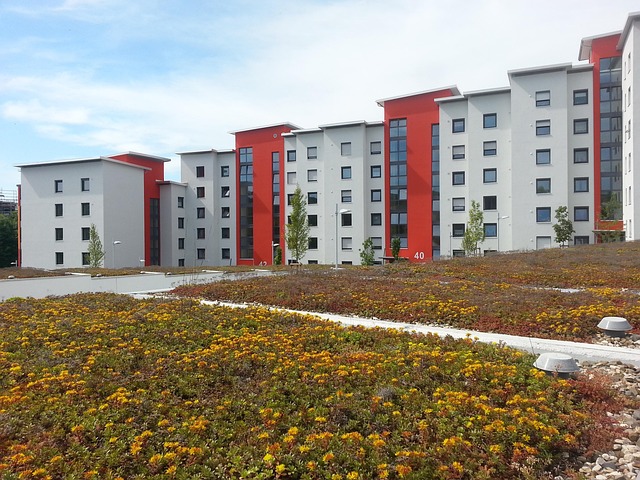 Dachbegrünung in der Stadt Dachbegrünung in der Stadt auf einem Gebäudedach