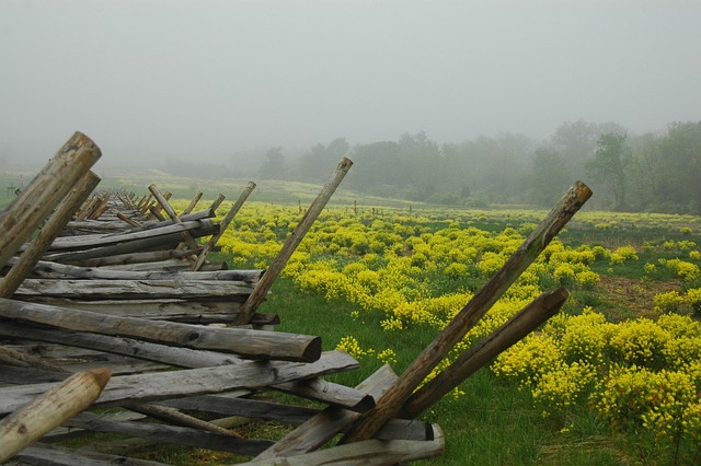 Free Gettysburg Nature photo and picture