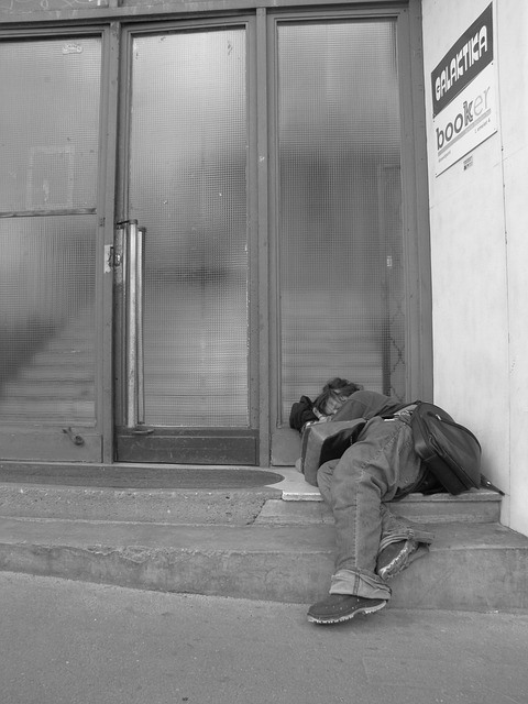 Homeless Without Color 1,000+ Free Homeless & Cat Images - Pixabay