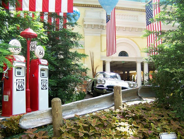 Free Las Vegas Usa photo and picture