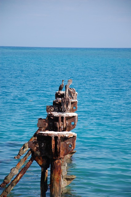 Free Water Pier photo and picture