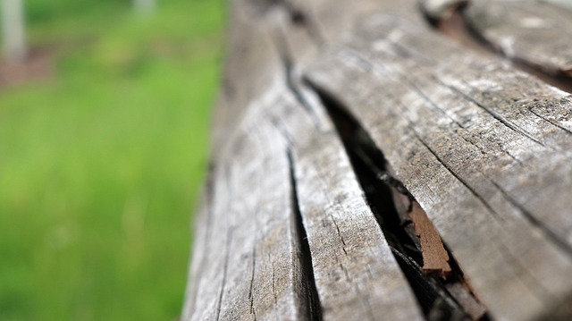 Free Wood Park photo and picture