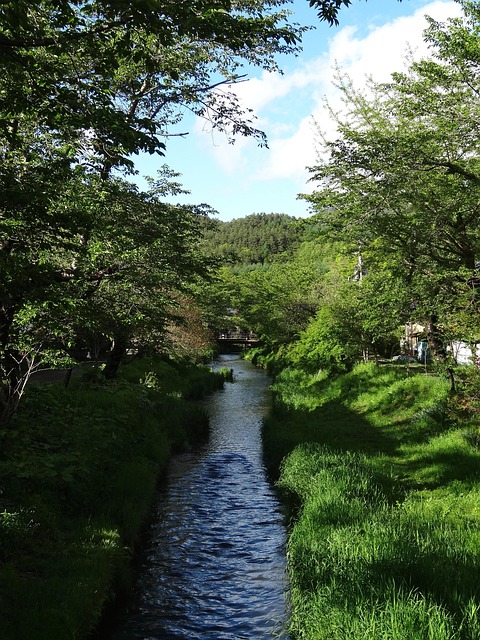 Free Oshino Hakkai River photo and picture