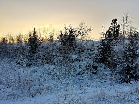 Free Winter Sun photo and picture