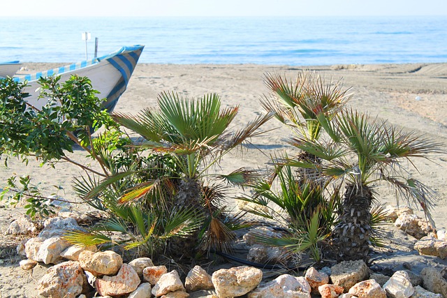 Hav, Strand, Spanien, Sand