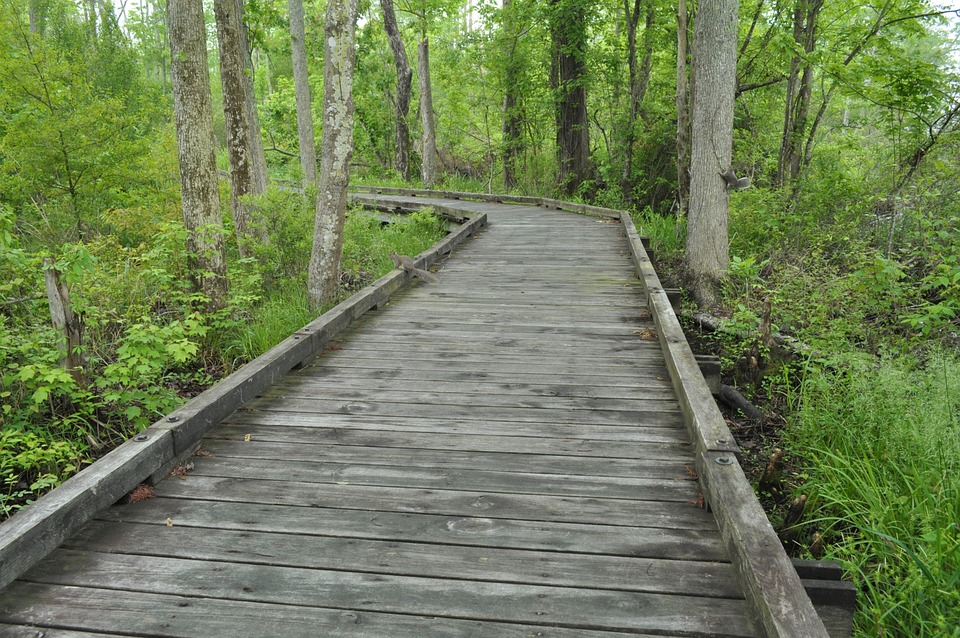 pedestrian bridge wood path free photo on pixabay