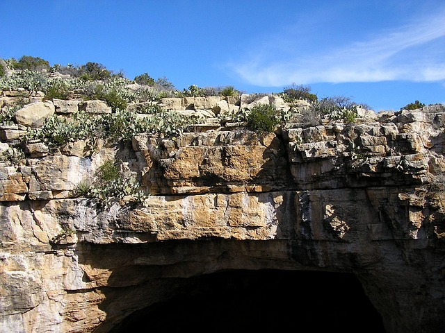 Free New Mexico Carlsbad Caverns photo and picture