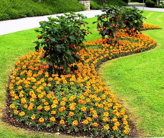 Park Discounts Flower Bed \u00b7 Free photo on Pixabay
