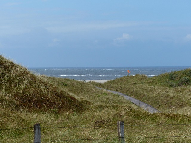 Free North Sea Sand Dunes photo and picture