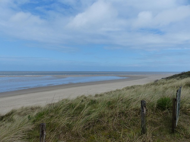 Free Coast Ostfriesland photo and picture