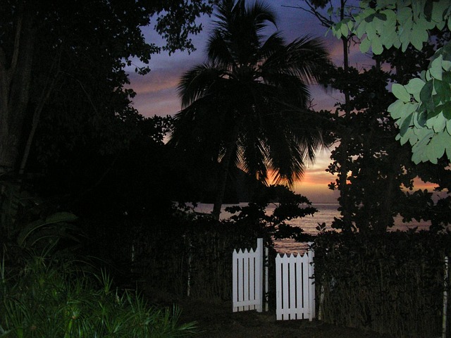 Free Gate Night photo and picture