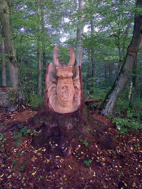 Skov, Bille, Hjortebille, Natur