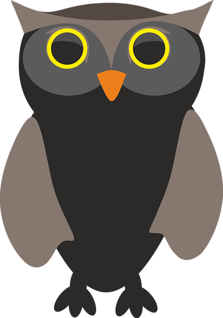 Free owl owls bird illustration
