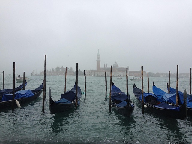Free Venice Gondolas photo and picture