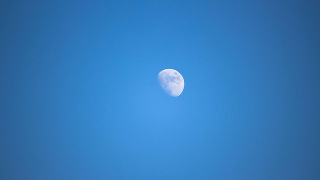 Free Blue Moon photo and picture