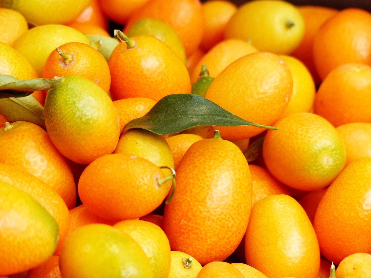 50+ Free Kumquats & Fruit Images Pixabay