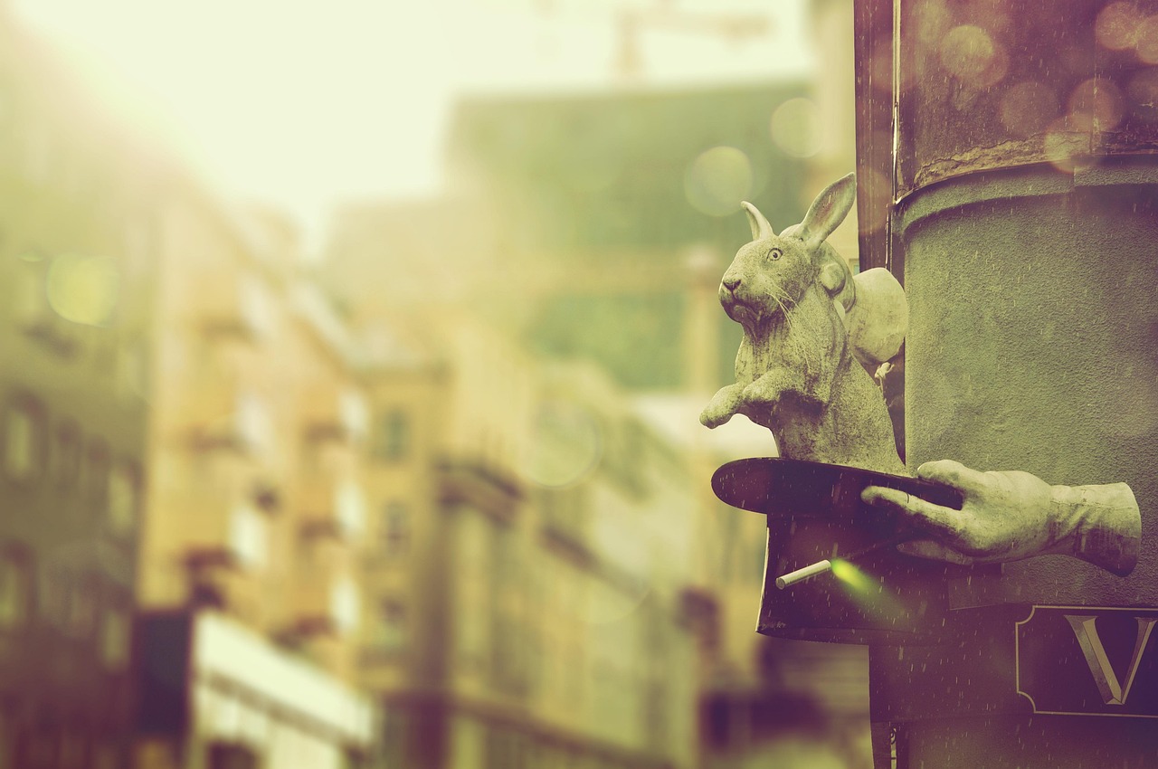 Vienna Rabbit Hat - Free photo on Pixabay