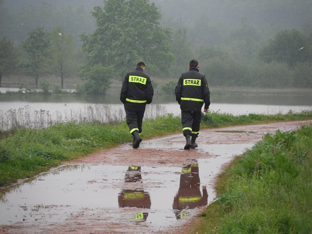 Free Firefighter Fire photo and picture