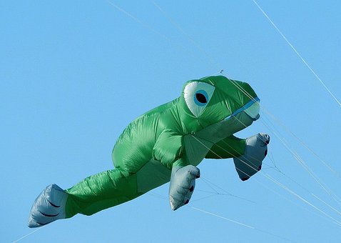 Free Balloon Dragon photo and picture