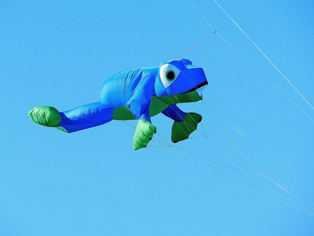 Free Balloon Dragon photo and picture
